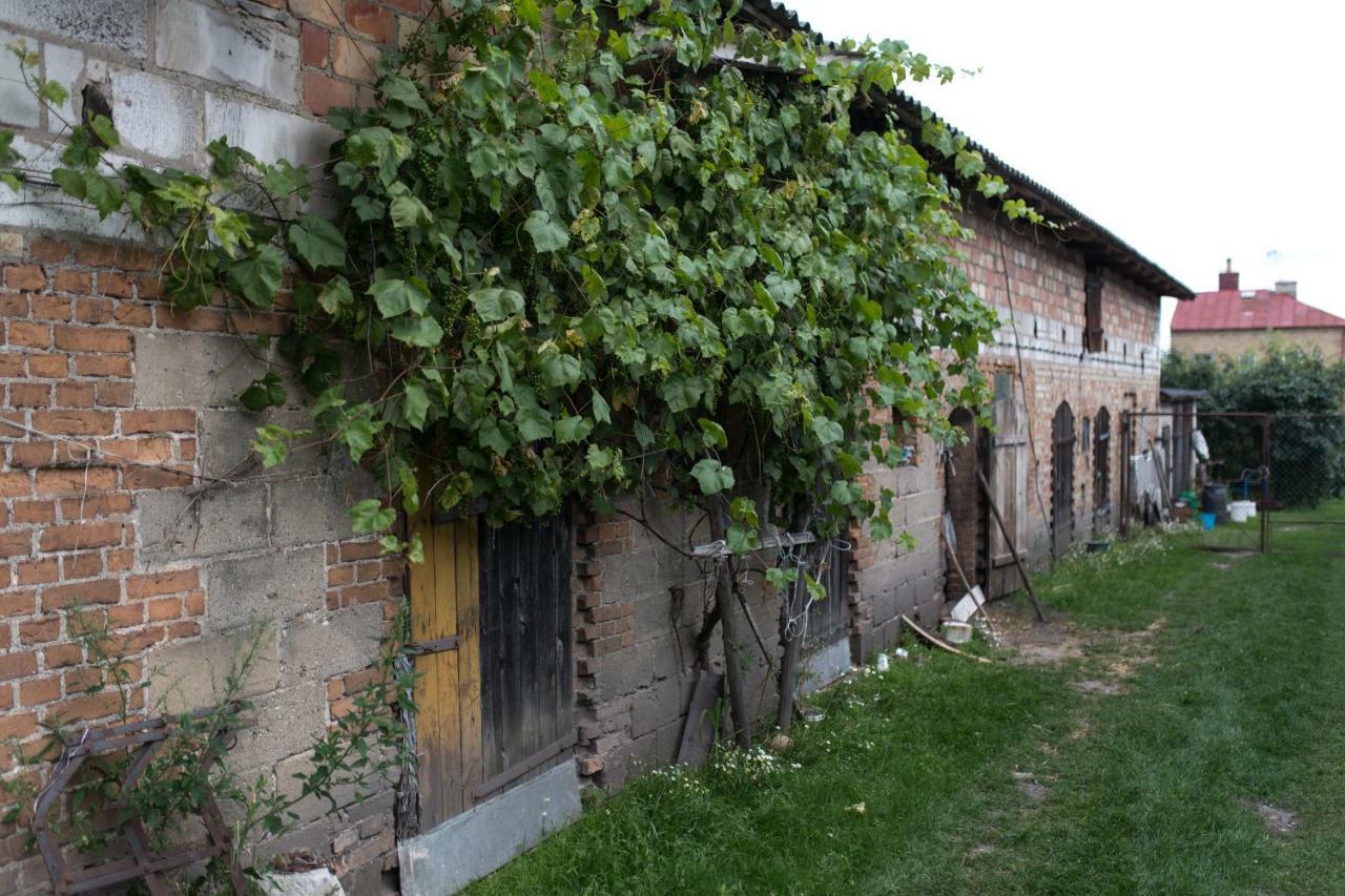 Agroturystyka Karpinscy Wizna 外观 照片